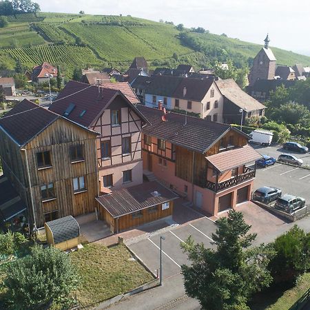 Pinot Gris - Charmant Studio Au Coeur Du Vignoble - Parking Gratuit Riquewihr Exteriör bild