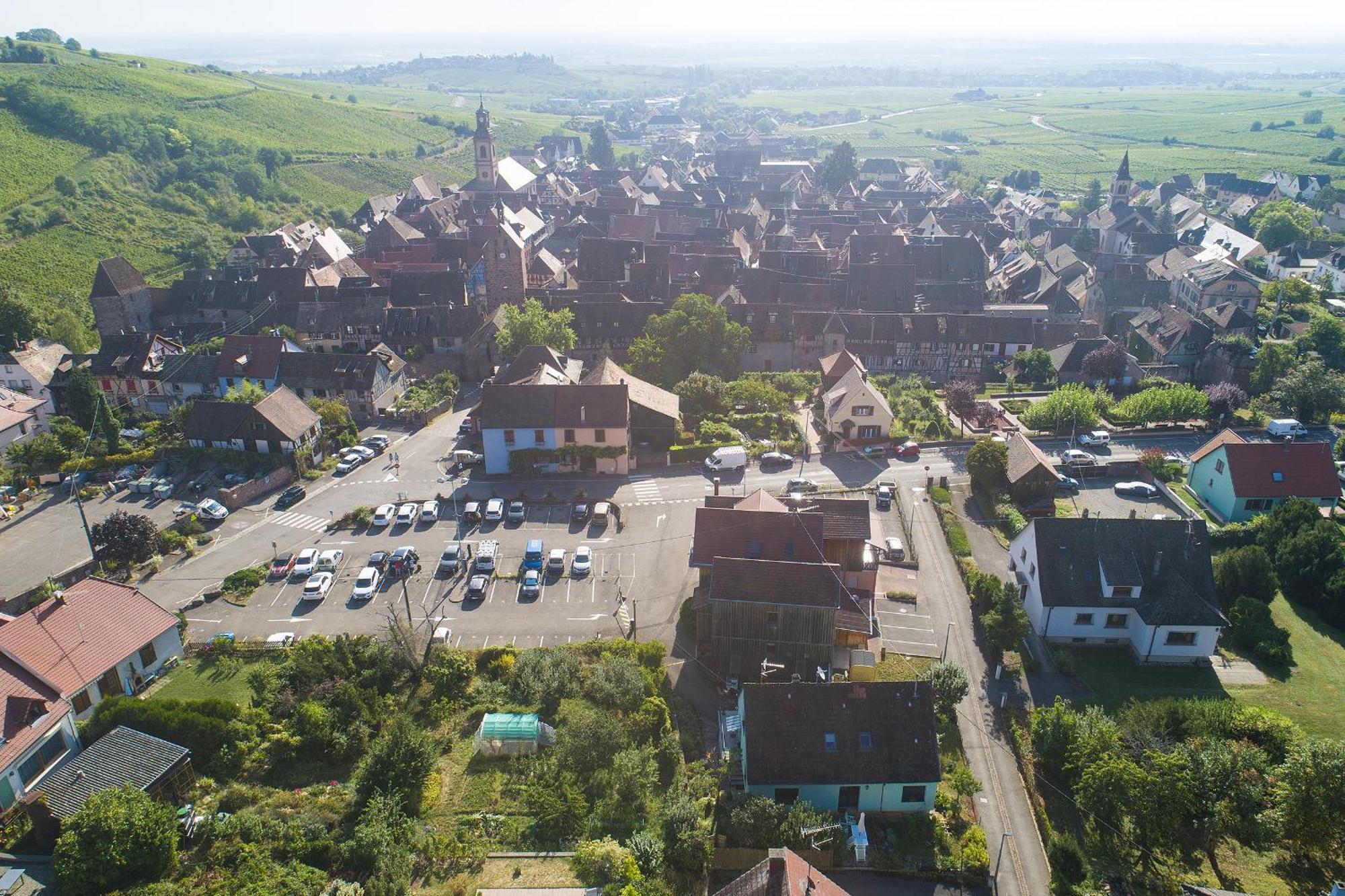 Pinot Gris - Charmant Studio Au Coeur Du Vignoble - Parking Gratuit Riquewihr Exteriör bild
